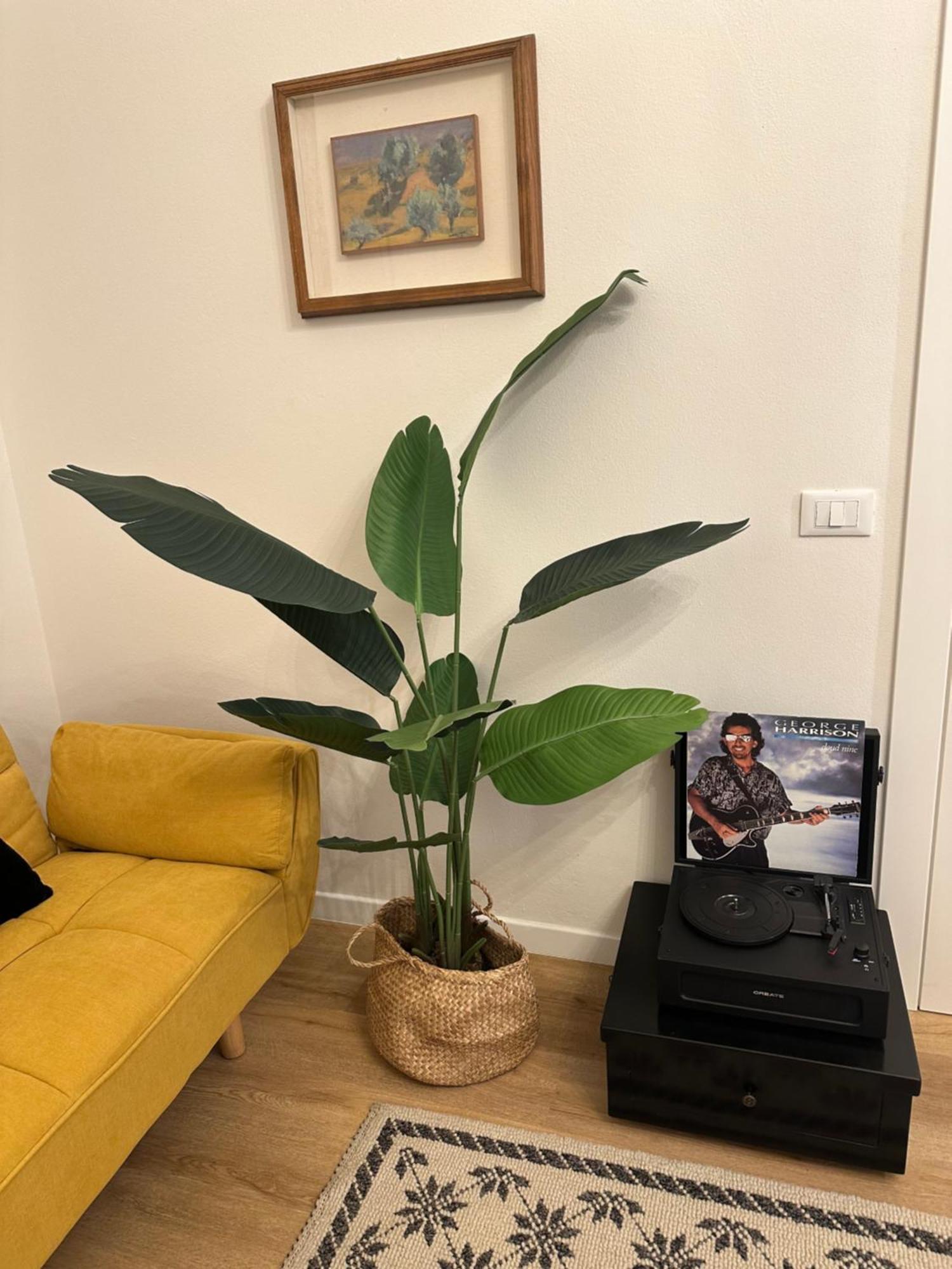 La Magnolia Apartamento *